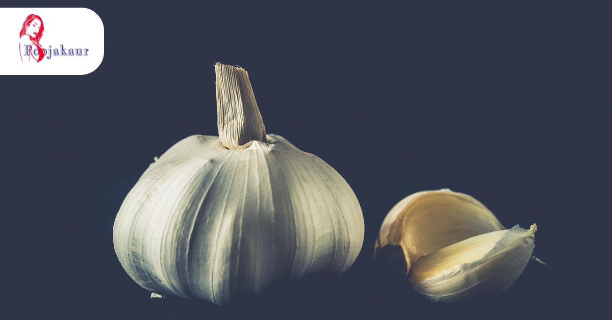 Premium Escort Services